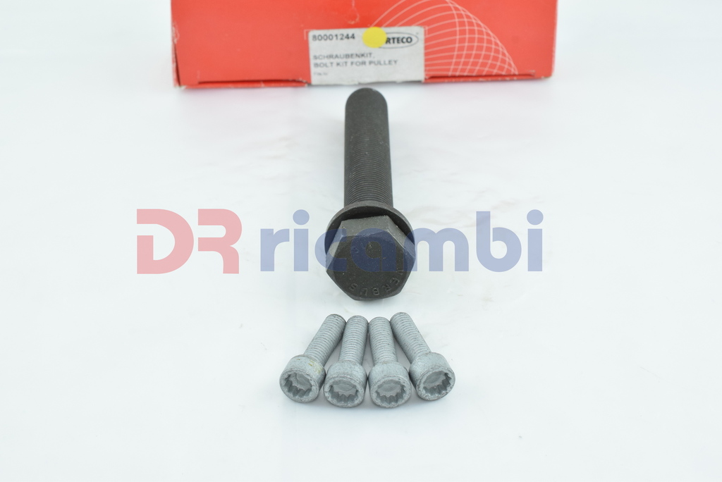 KIT BULLONI PULEGGIA ALBERO MOTORE VOLKSWAGEN CRAFTER 30-35 30-50 80001244