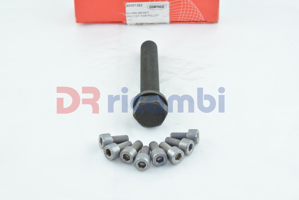 KIT BULLONI PULEGGIA ALBERO MOTORE AUDI A4 B5  A6 C5  A8 D2  VW PASSAT 80001262