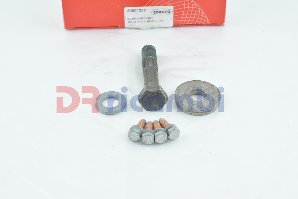 KIT BULLONI PULEGGIA ALBERO MOTORE CITROEN BERLINGO JUMPY XSARA 1.9 D 80001252