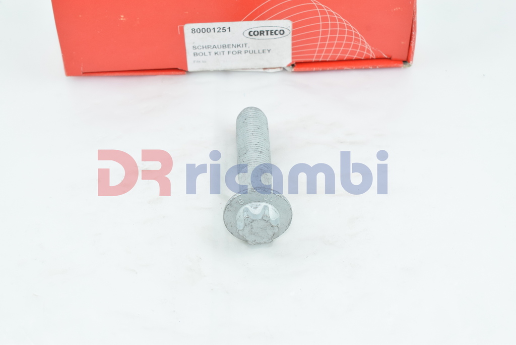 KIT BULLONE PULEGGIA ALBERO MOTORE RENAULT LAGUNA ESPACE SAFRANE D TD 80001251