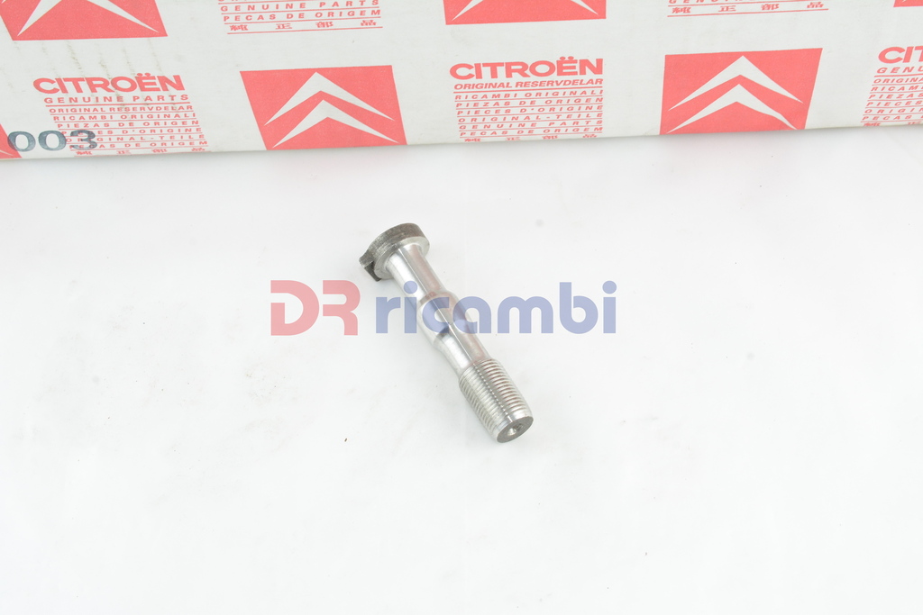 BULLONE BIELLA PEUGEOT 305 1.9 DIESEL XUD9 306 1.7 DIESEL XUD7 - PEUGEOT 0607.35