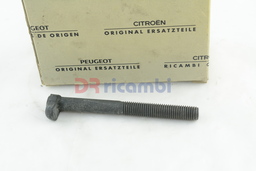 [325202] VITE SEMIALBERO DIFFERENZIALE CITROEN CX C25 J5 - FIAT DUCATO - CITROEN  3252.02